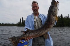 48 inch Northern, June 2011